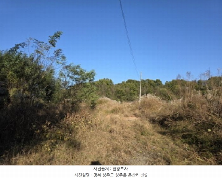 2025타경31568 경상북도 성주군 성주읍 용산리 92 임야 경매 이미지