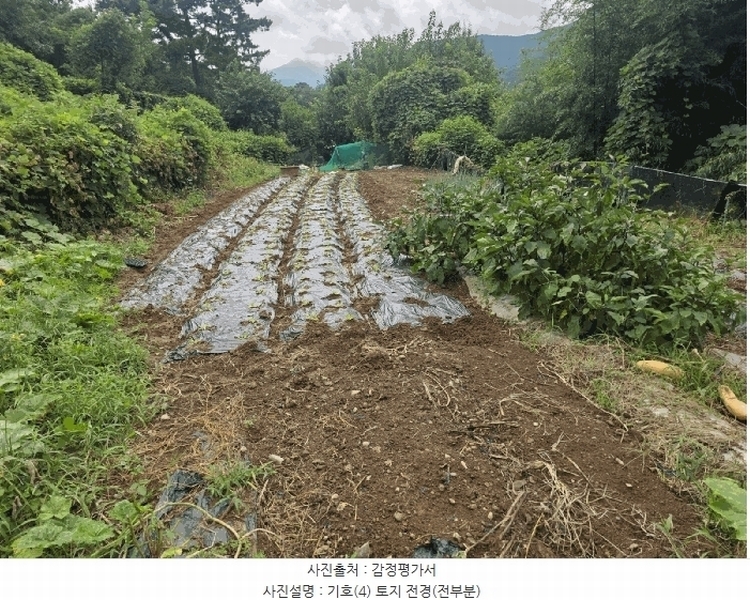 2025타경31669 대구광역시 달성군 유가읍 양리 217-9 임야 경매 이미지