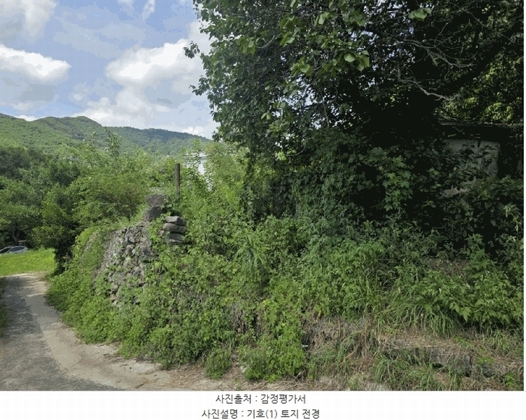 2025타경31669 대구광역시 달성군 유가읍 양리 217-9 임야 경매 이미지