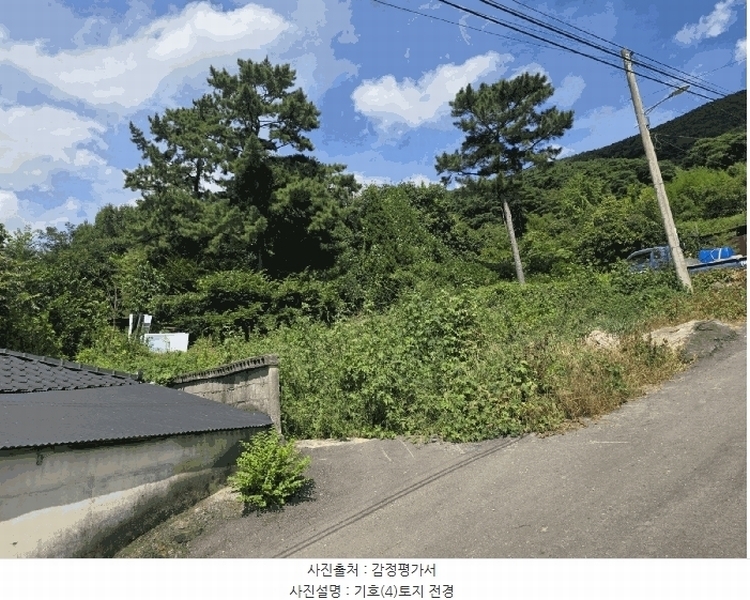 2025타경31669 대구광역시 달성군 유가읍 양리 217-9 임야 경매 이미지
