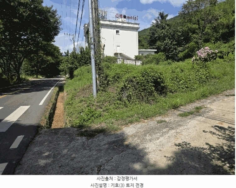 2025타경31669 대구광역시 달성군 유가읍 양리 217-9 임야 경매 이미지