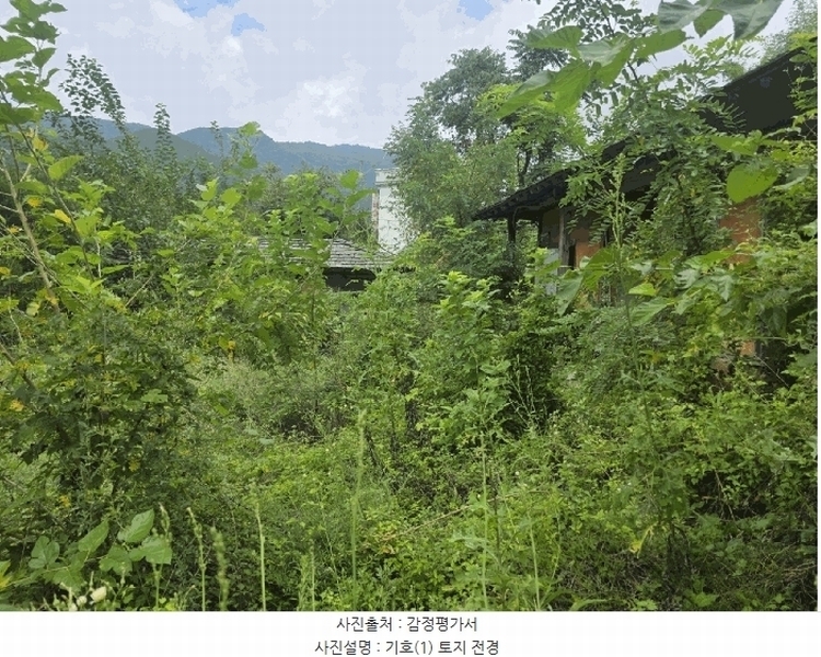 2025타경31669 대구광역시 달성군 유가읍 양리 217-9 임야 경매 이미지