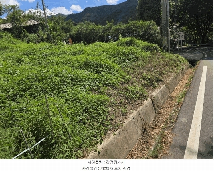 2025타경31669 대구광역시 달성군 유가읍 양리 217-9 임야 경매 이미지