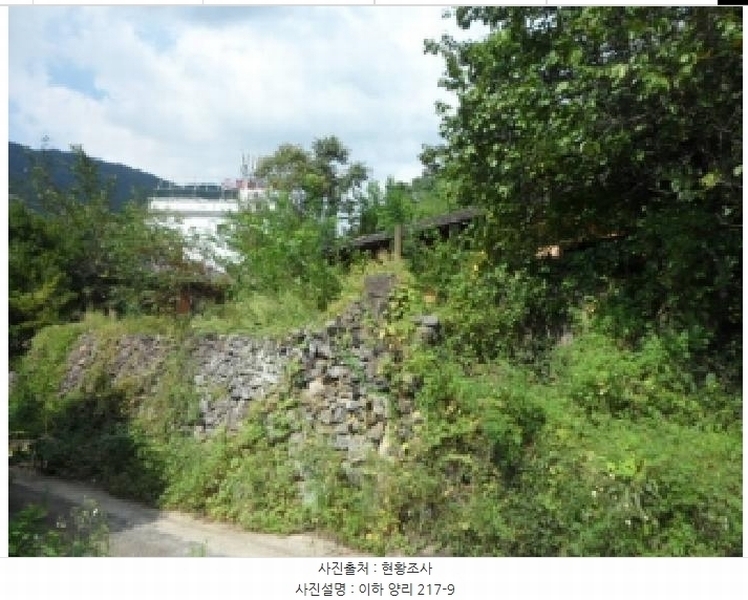 2025타경31669 대구광역시 달성군 유가읍 양리 217-9 임야 경매 이미지