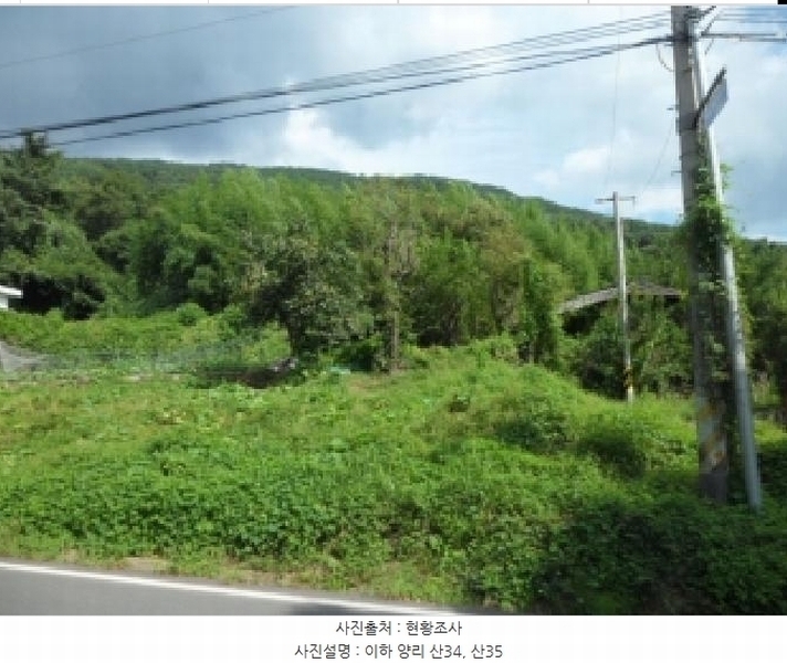 2025타경31669 대구광역시 달성군 유가읍 양리 217-9 임야 경매 이미지