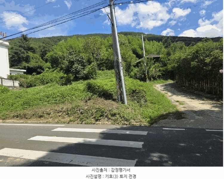 2025타경31669 대구광역시 달성군 유가읍 양리 217-9 임야 경매 이미지