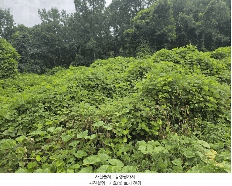 2025타경31669 대구광역시 달성군 유가읍 양리 217-9 임야 경매 이미지