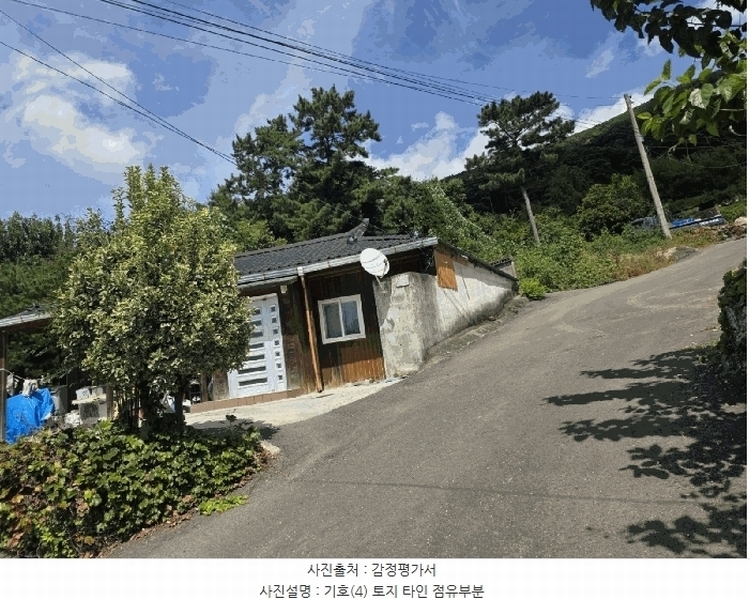 2025타경31669 대구광역시 달성군 유가읍 양리 217-9 임야 경매 이미지