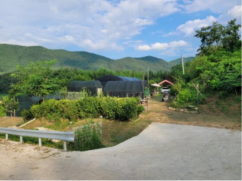 2025타경31730 대구광역시 달성군 가창면 단산리 785 농지 경매 이미지