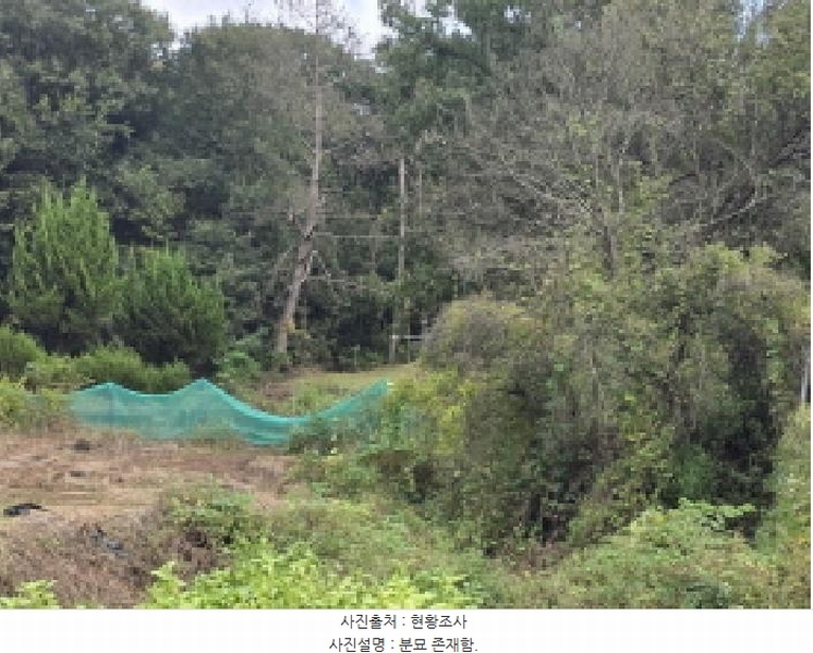 2025타경31766 대구광역시 달성군 다사읍 부곡리 524 농지 경매 이미지