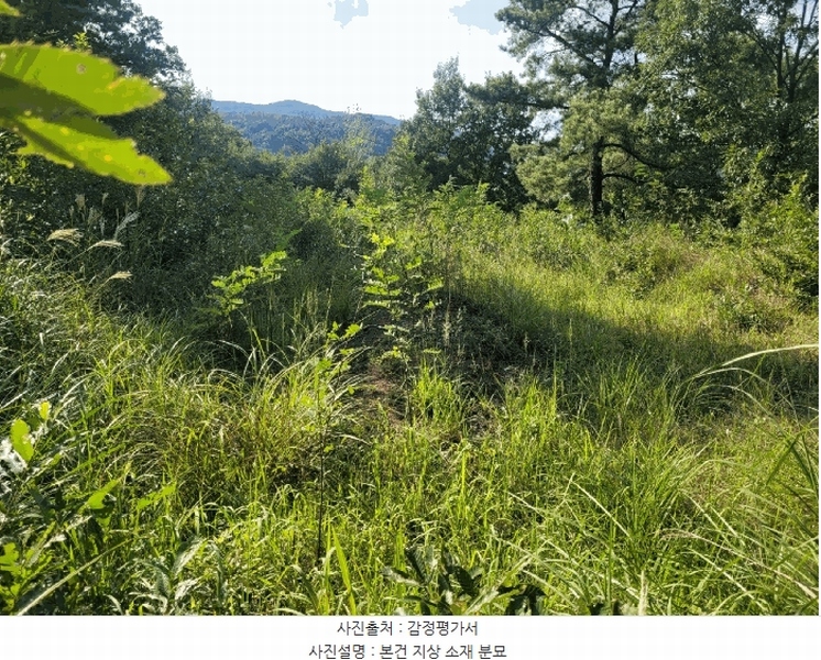 2025타경31766 대구광역시 달성군 다사읍 부곡리 524 농지 경매 이미지