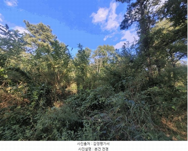 2025타경31766 대구광역시 달성군 다사읍 부곡리 524 농지 경매 이미지