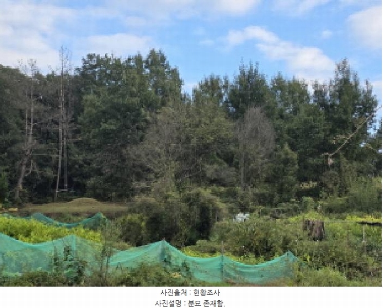 2025타경31766 대구광역시 달성군 다사읍 부곡리 524 농지 경매 이미지