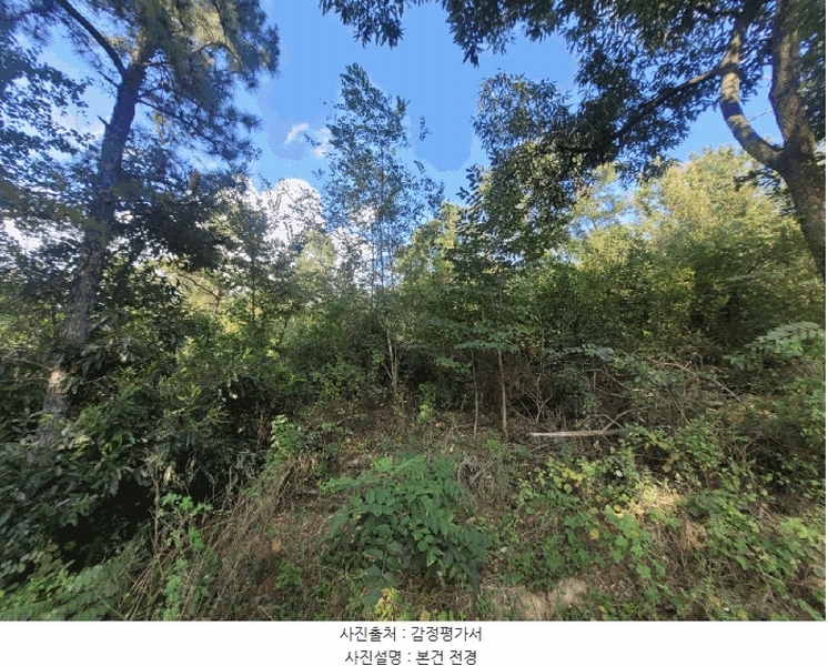 2025타경31766 대구광역시 달성군 다사읍 부곡리 524 농지 경매 이미지