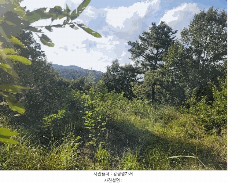 2025타경31766 대구광역시 달성군 다사읍 부곡리 524 농지 경매 이미지