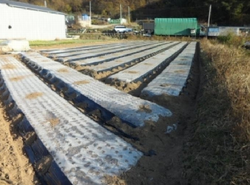 2025타경31868 경상북도 고령군 운수면 법리 236 농지 경매 이미지
