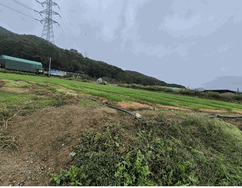 2025타경31868 경상북도 고령군 운수면 법리 236 농지 경매 이미지