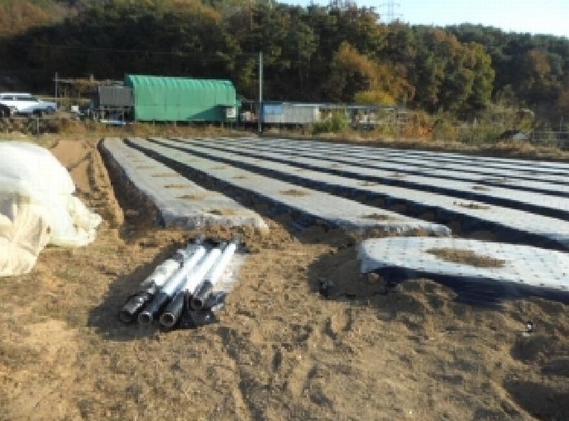 2025타경31868 경상북도 고령군 운수면 법리 236 농지 경매 이미지
