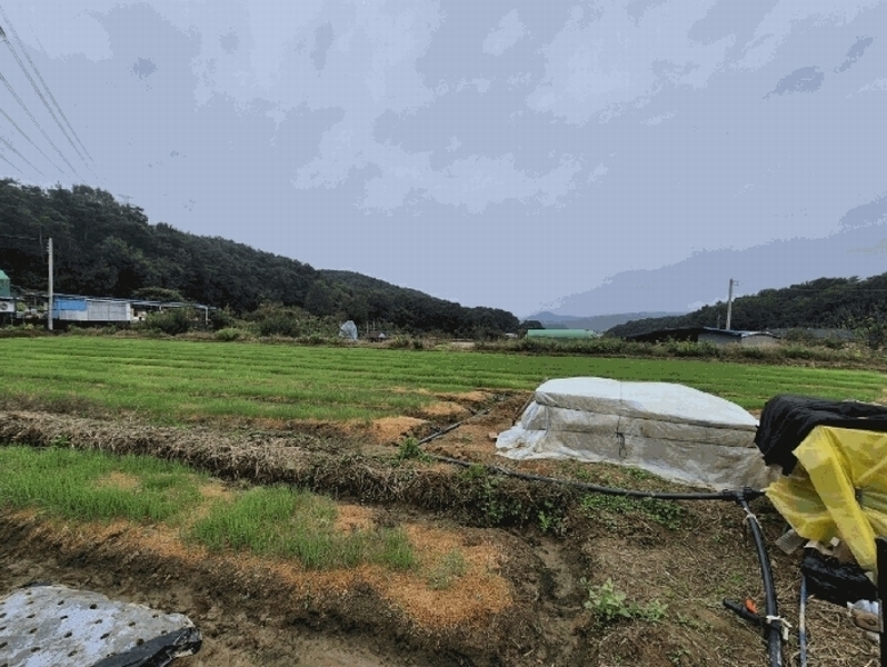 2025타경31868 경상북도 고령군 운수면 법리 236 농지 경매 이미지