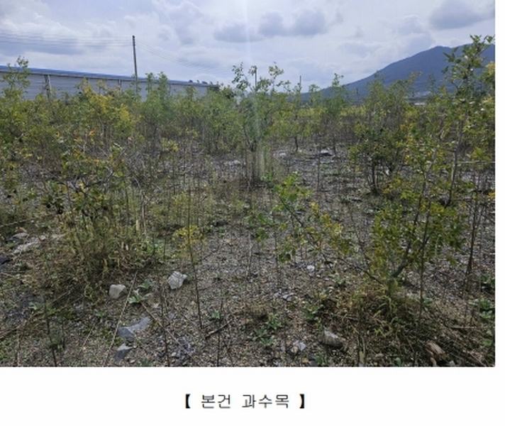 2025타경31886 대구광역시 달성군 현풍읍 원교리 315 농지 경매 이미지