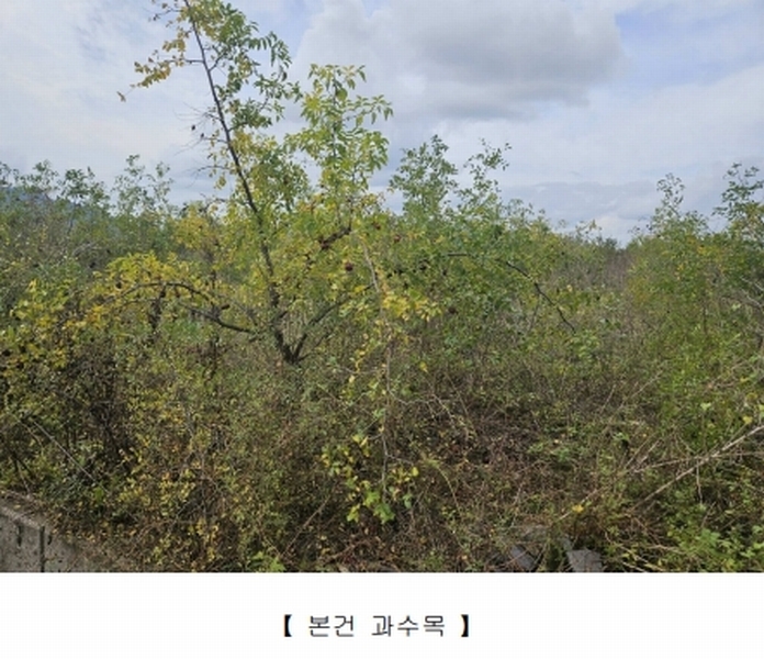 2025타경31886 대구광역시 달성군 현풍읍 원교리 315 농지 경매 이미지
