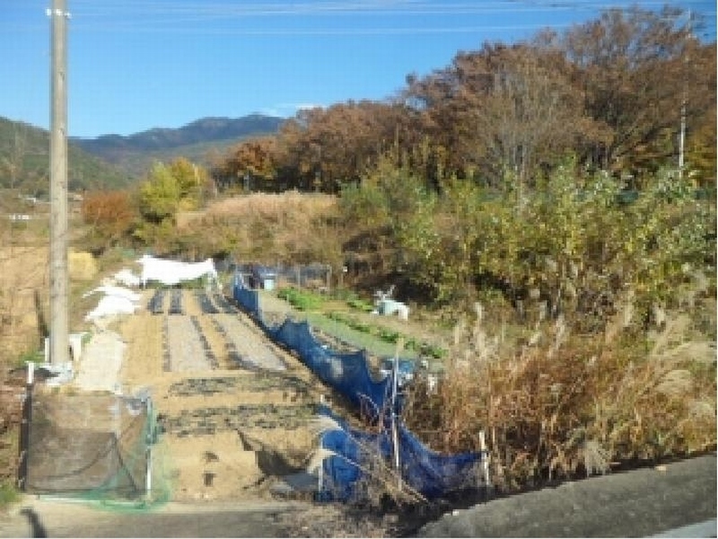 2025타경31933 대구광역시 달성군 유가읍 음리 563 농지 경매 이미지