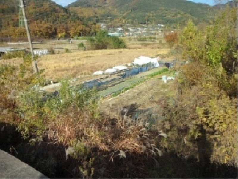 2025타경31933 대구광역시 달성군 유가읍 음리 563 농지 경매 이미지
