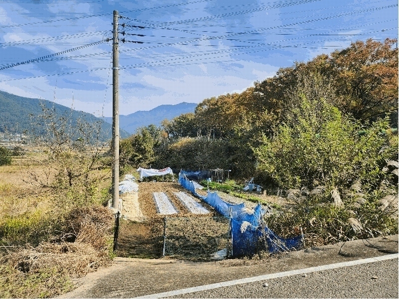 2025타경31933 대구광역시 달성군 유가읍 음리 563 농지 경매 이미지