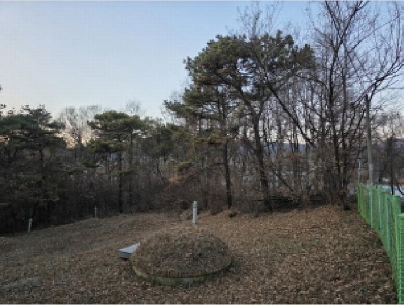 2025타경31978 경상북도 성주군 월항면 장산리 산3 임야 경매 이미지