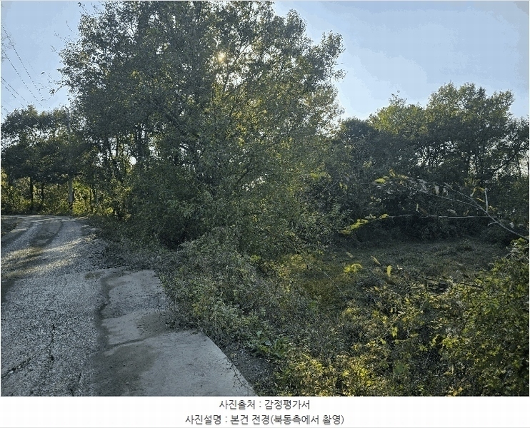 2025타경31978 경상북도 성주군 월항면 장산리 산3 임야 경매 이미지
