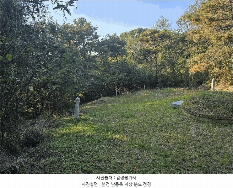 2025타경31978 경상북도 성주군 월항면 장산리 산3 임야 경매 이미지