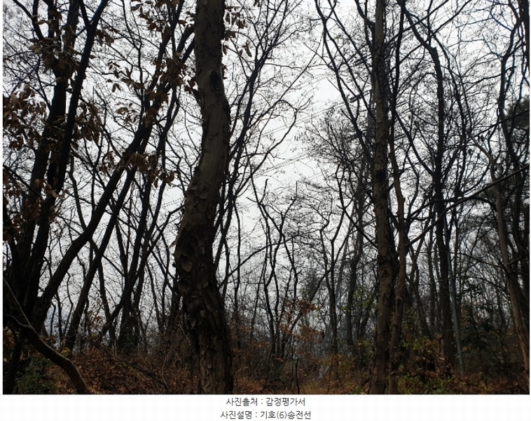 2023타경41437 대구광역시 달성군 논공읍 북리 133-2 공장용지 경매 이미지