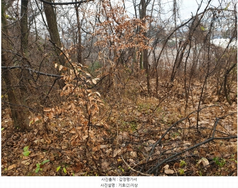 2023타경41437 대구광역시 달성군 논공읍 북리 133-2 공장용지 경매 이미지