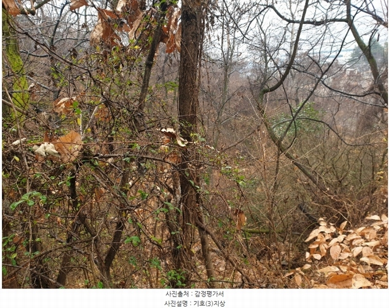 2023타경41437 대구광역시 달성군 논공읍 북리 133-2 공장용지 경매 이미지
