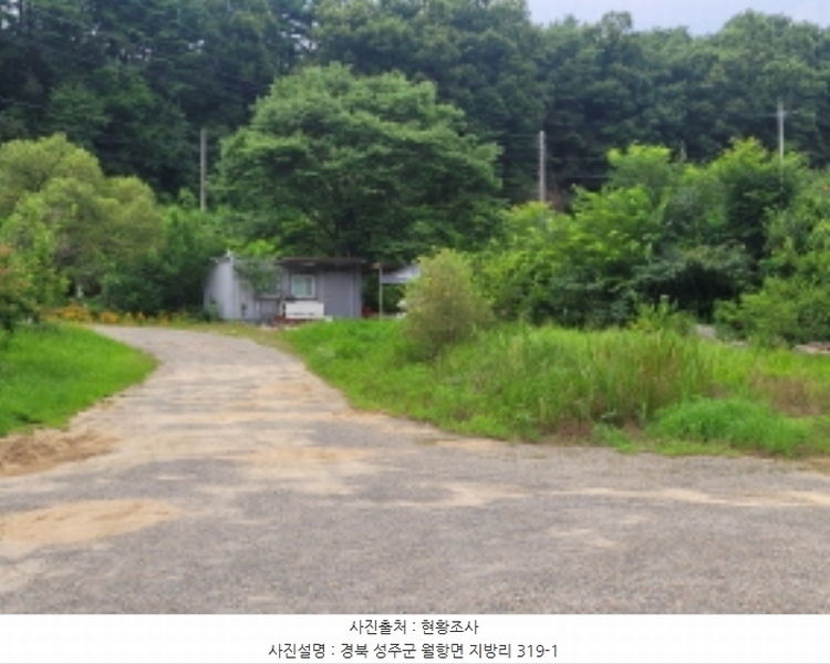 2024타경2675 경상북도 성주군 월항면 지방리 319-1 농지 경매 이미지