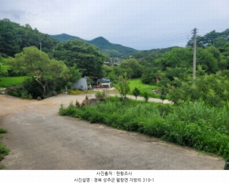 2024타경2675 경상북도 성주군 월항면 지방리 319-1 농지 경매 이미지