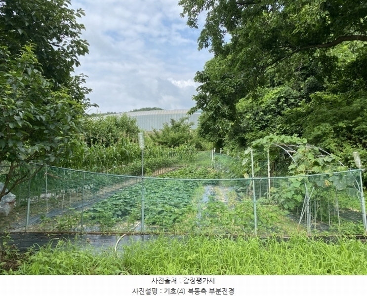 2024타경2675 경상북도 성주군 월항면 지방리 319-1 농지 경매 이미지