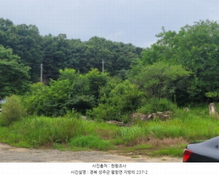 2024타경2675 경상북도 성주군 월항면 지방리 319-1 농지 경매 이미지