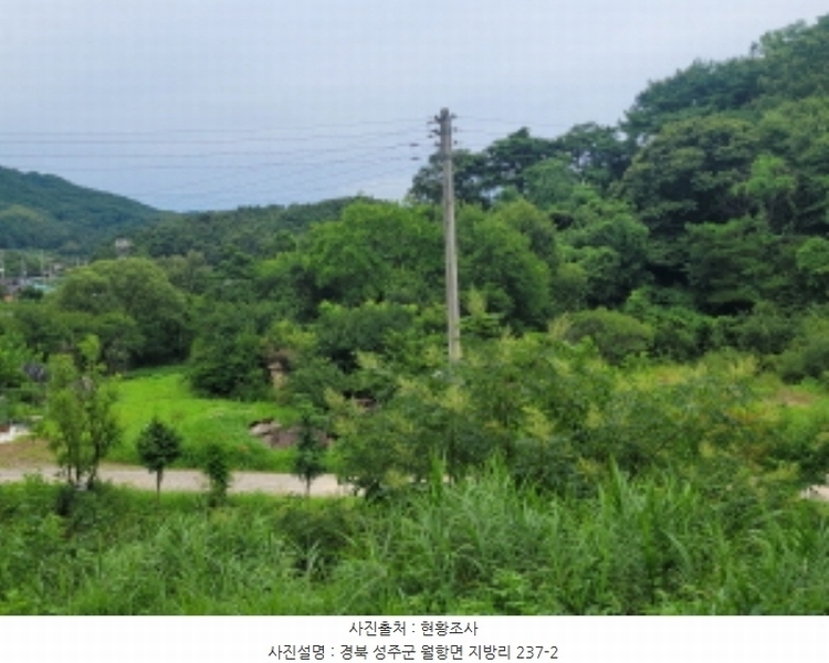 2024타경2675 경상북도 성주군 월항면 지방리 319-1 농지 경매 이미지