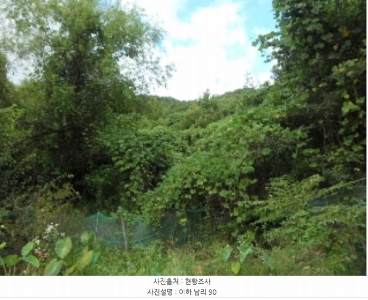 2024타경3692 대구광역시 달성군 논공읍 남리 90 농지 경매 이미지