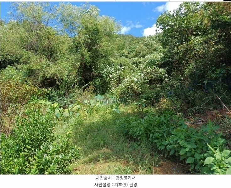2024타경3692 대구광역시 달성군 논공읍 남리 90 농지 경매 이미지