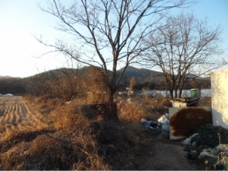 2024타경5063 경상북도 고령군 성산면 강정리 245 농지 경매 이미지