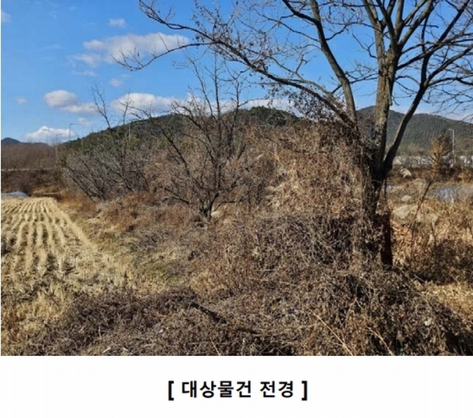 2024타경5063 경상북도 고령군 성산면 강정리 245 농지 경매 이미지