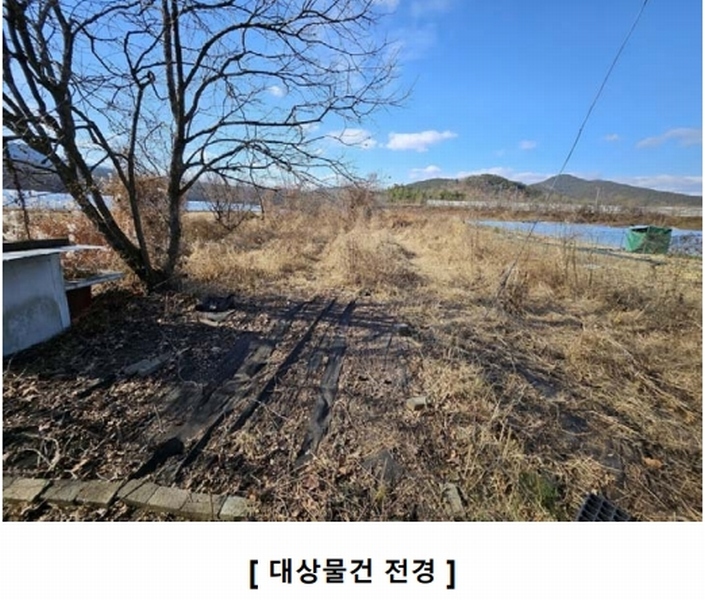 2024타경5063 경상북도 고령군 성산면 강정리 245 농지 경매 이미지