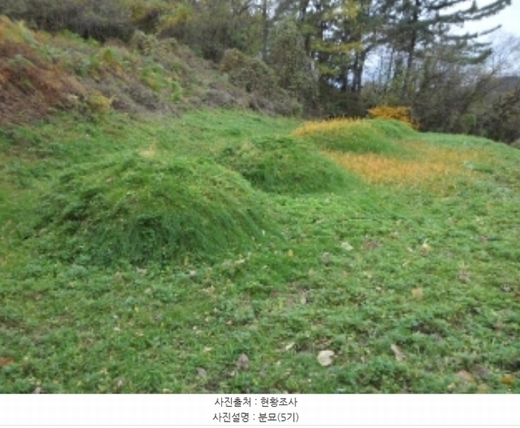 2024타경42673 대구광역시 달성군 현풍읍 오산리 533-2 임야 경매 이미지