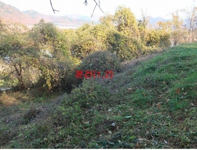2024타경42673 대구광역시 달성군 현풍읍 오산리 533-2 임야 경매 이미지