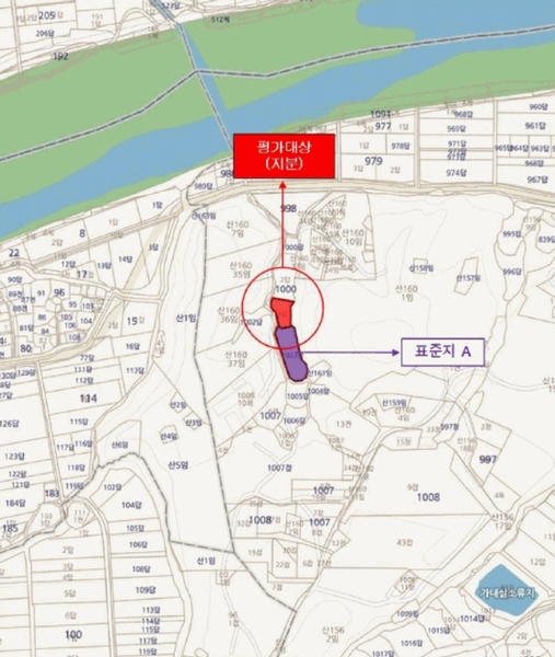 2025타경494 경상남도 산청군 금서면 신아리 1000-3 농지 경매 이미지