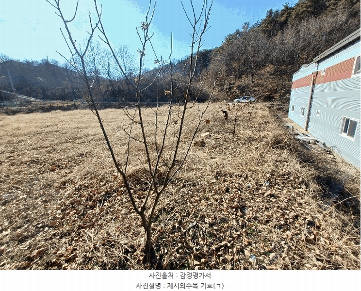 2025타경494 경상남도 산청군 금서면 신아리 1000-3 농지 경매 이미지