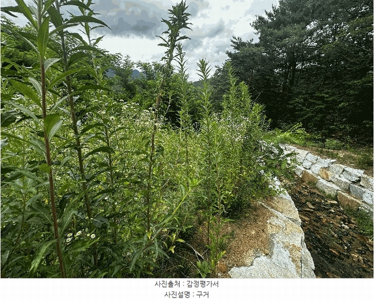 2025타경1266 울산광역시 울주군 상북면 덕현리 158-15 대지 경매 이미지