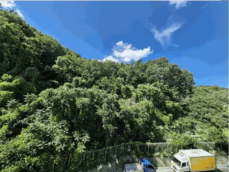 2025타경1747 대구광역시 달서구 이곡동 산26 임야 경매 이미지
